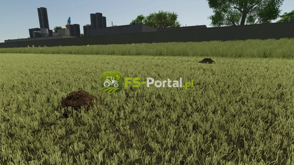 Dynamic Molehills