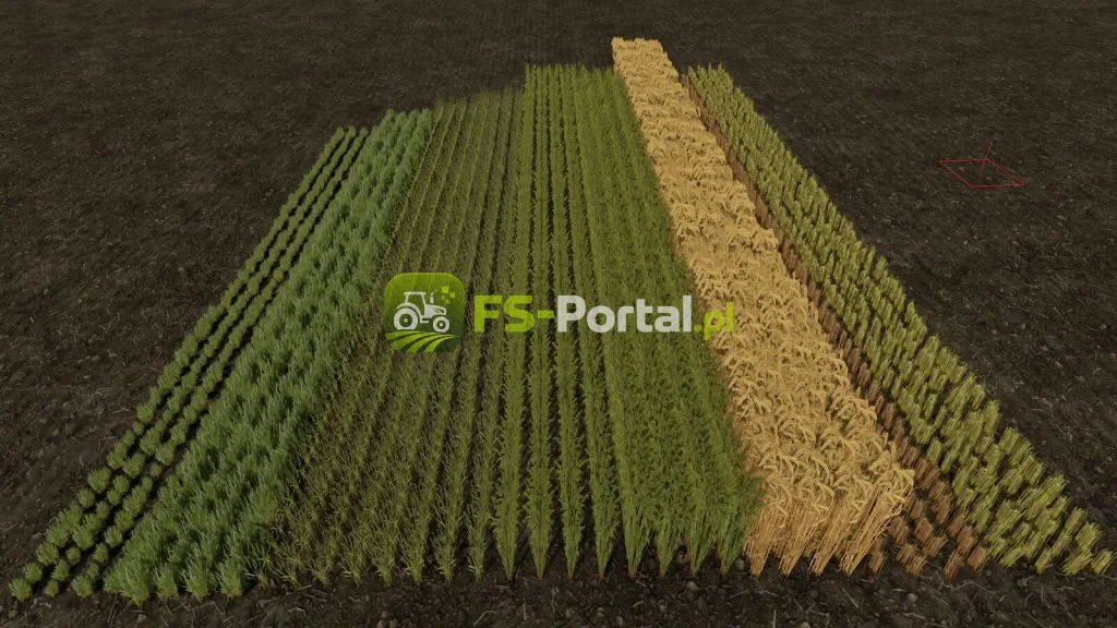 Row Seeding Barley, Oat, Wheat, Canola, Mulitfruit