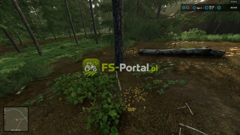 Fichthal Bush Remover