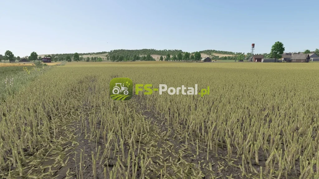 Improved rapeseed plants