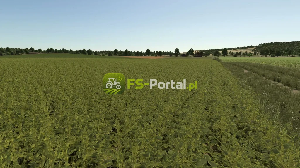 Improved soybean plants