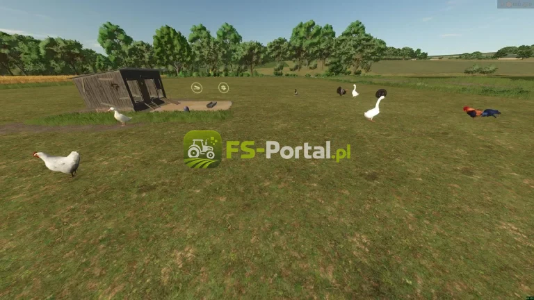 New Animals (Goose, Duck, Turkey, and Rabbit)