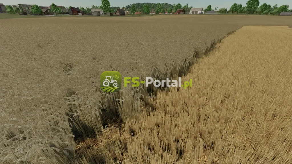 Realistic wheat texture