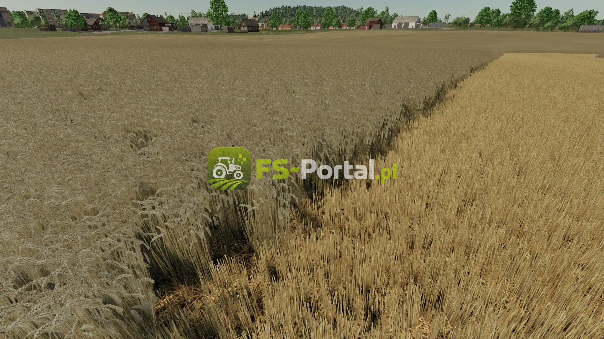 Realistic wheat texture — zdjęcie 1