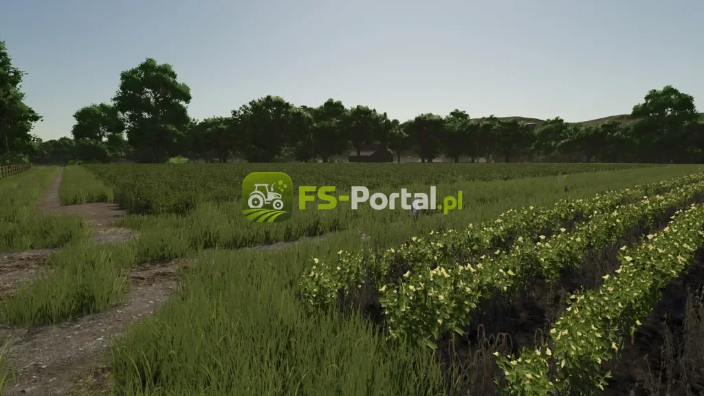 Repopulate Fields