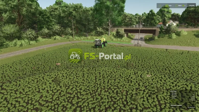 Herbicide Weed Cleanup