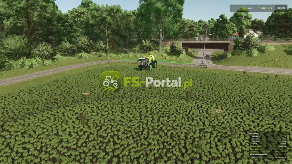 Herbicide Weed Cleanup