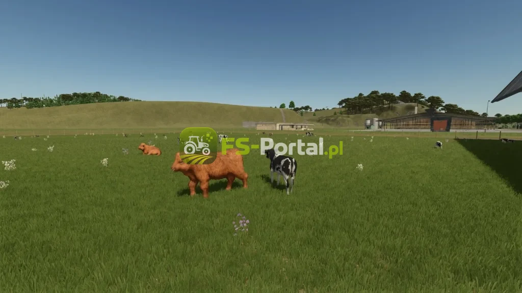 Storefront Stable Options For Husbandry