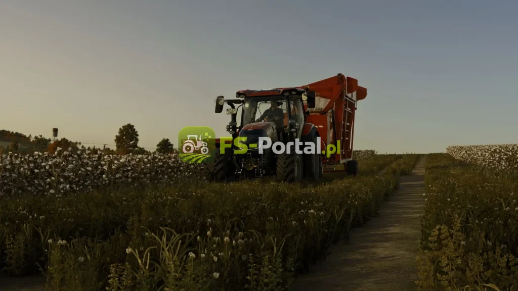 Dolbi Cotton Equipment Pack