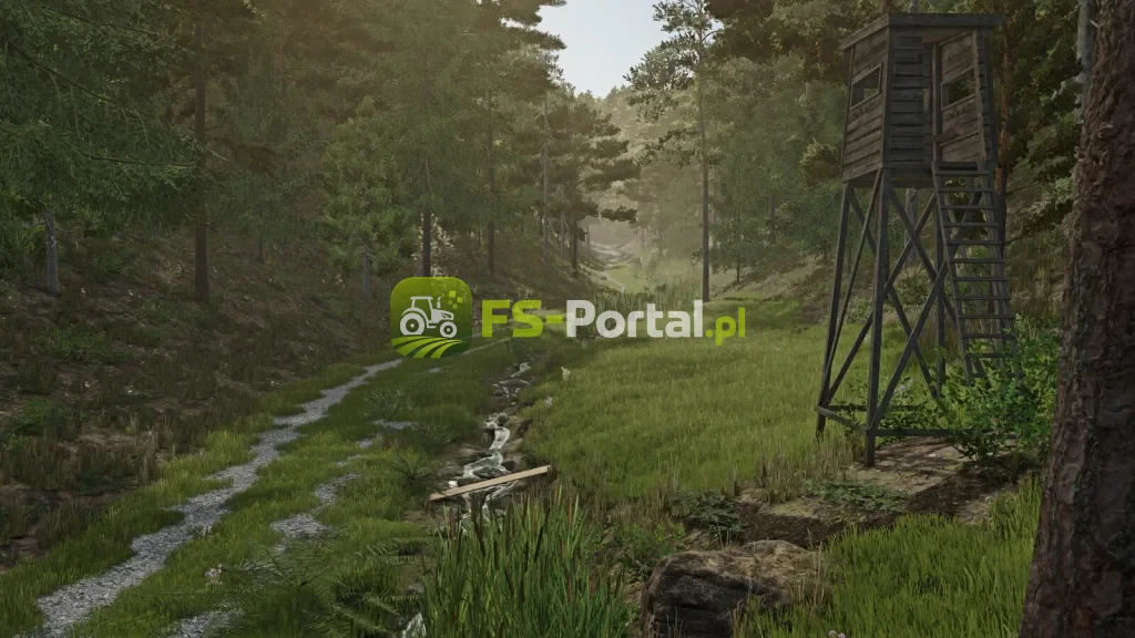Palatinate Forest
