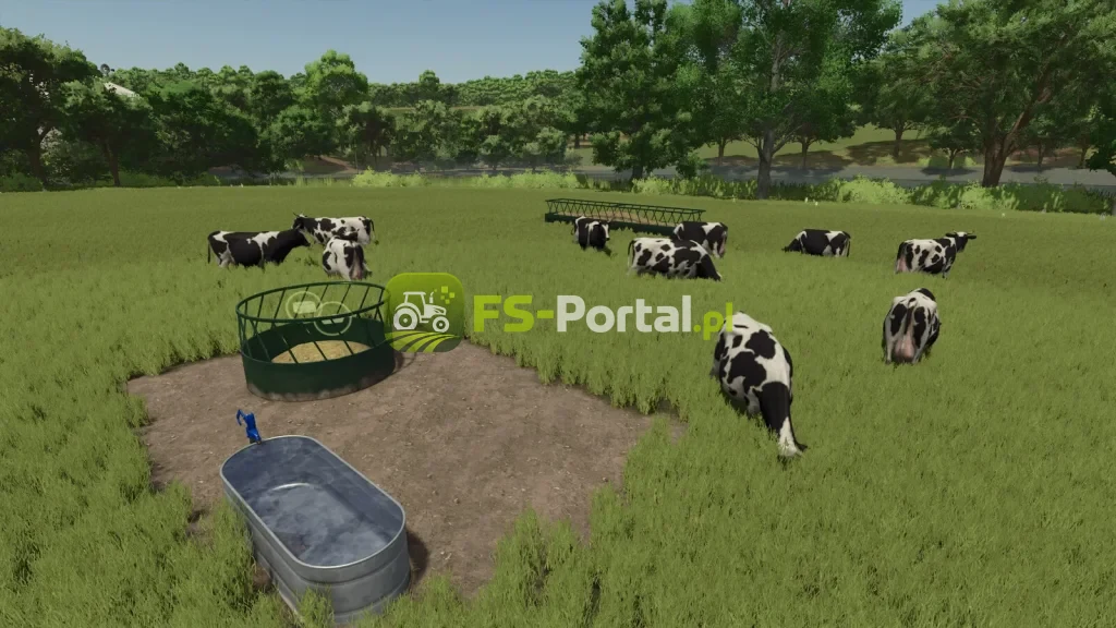 Open Pastures