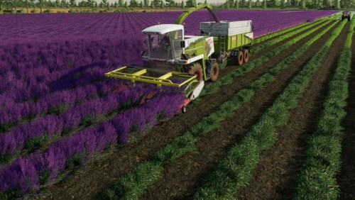 More information about "CLAAS Lavender Header Bar"