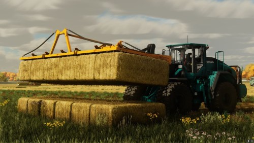 More information about "Meijer Holland Rambo 6KD"