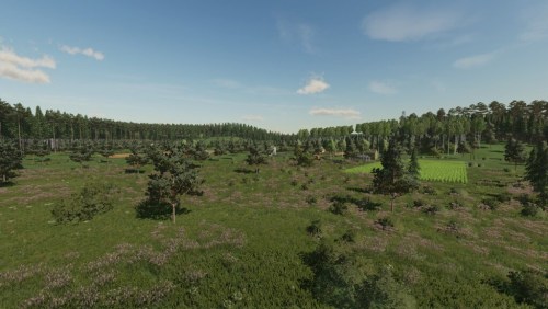 More information about "The Mythical Woods"