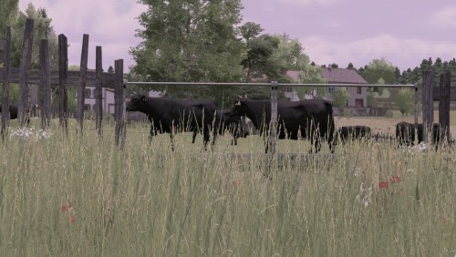 More information about "TerraLifePlus Animal Food Additions"