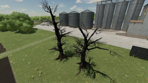 More information about "Dead Trees"
