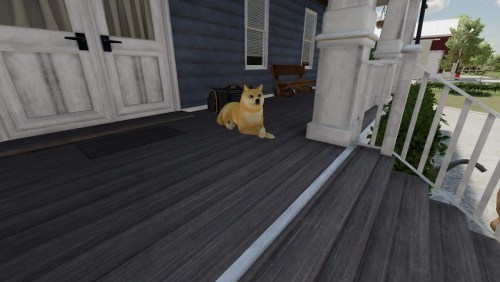 More information about "Shiba Inu "Doge Coin" dog"