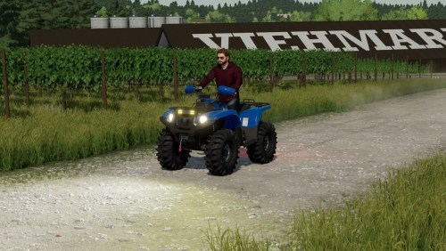 More information about "Yamaha Grizzly 2009"