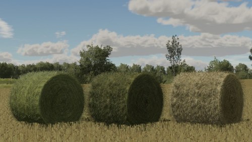 More information about "Bale Texture"