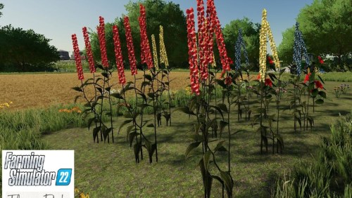 More information about "Flower Pack 1"