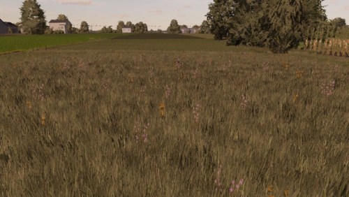 More information about "Meadow Texture"