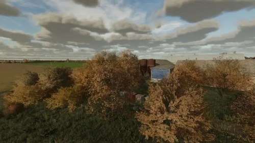 More information about "Tree Textures"