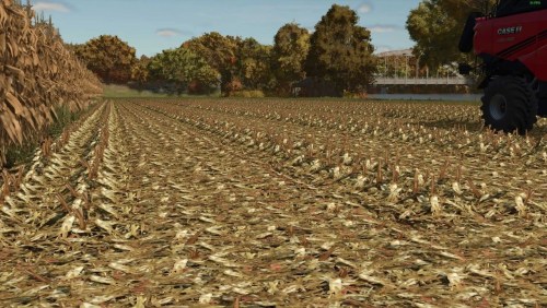 More information about "Corn trash textures"