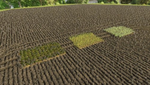 More information about "GL860 Multi-seed"