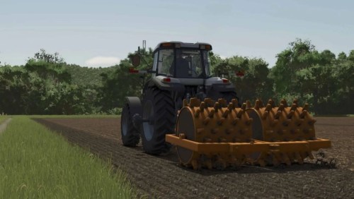 More information about "Lizard Wedge's Foot Roller"
