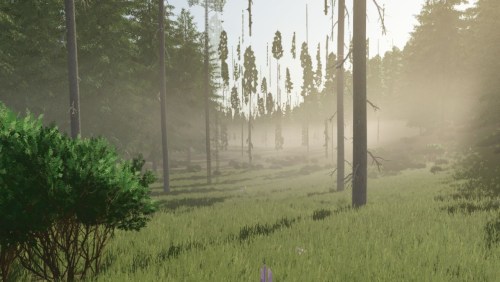 More information about "Bear Wallow Logging"