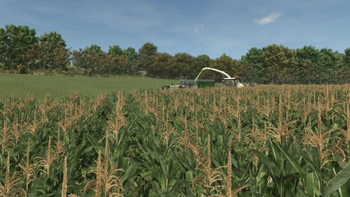 More information about "Improved Corn Texture"