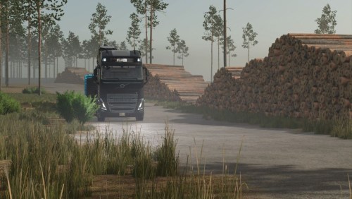 More information about "Pinewood Forest"