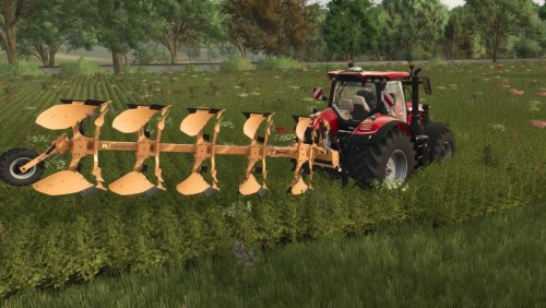 More information about "Huard 475"