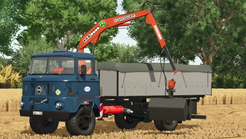 More information about "IFA W50 loading car with crane"