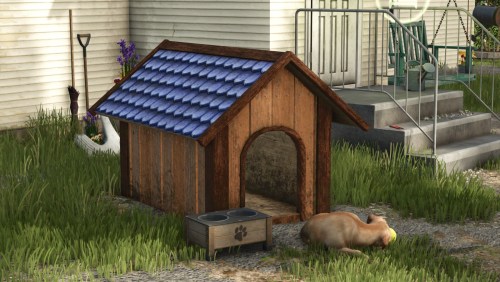 More information about "Fancy Doghouse"