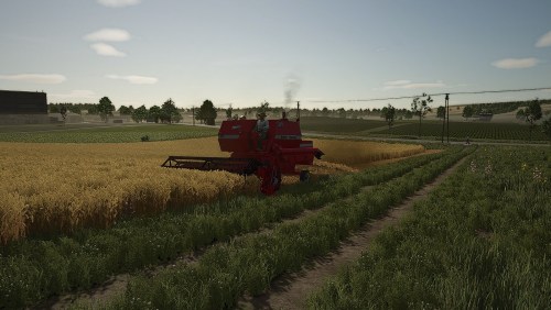 More information about "MF 310"