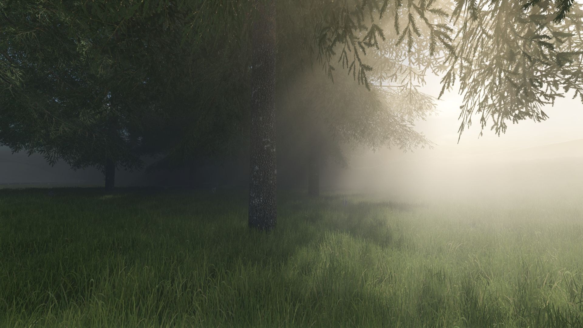 Fog Control