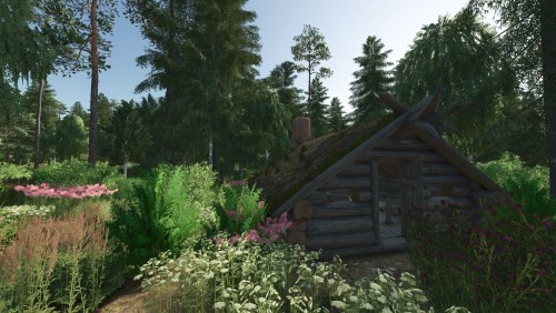 More information about "Forest Valley"