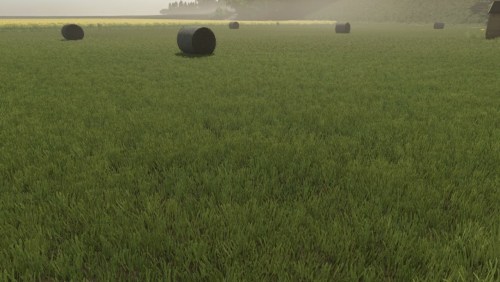 More information about "New Grass Texture"
