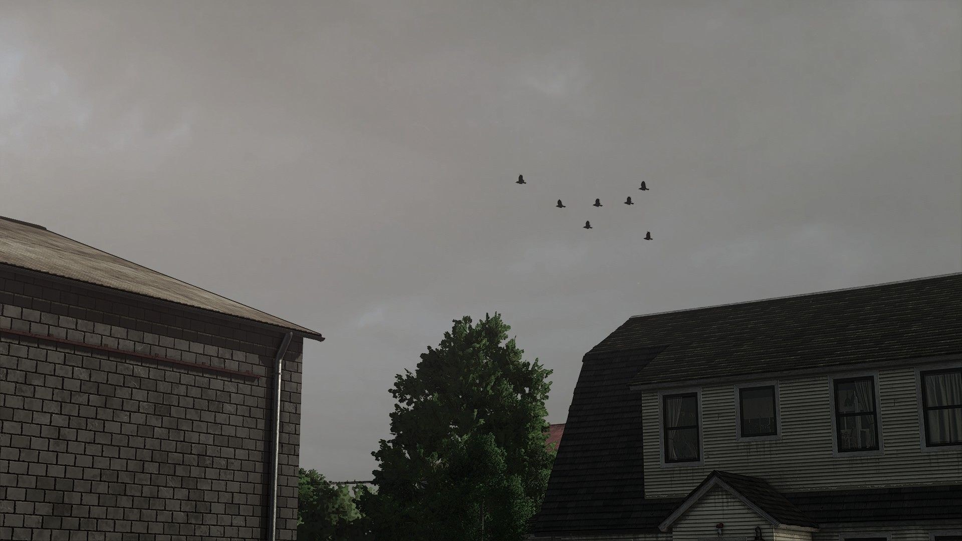 Real Sky