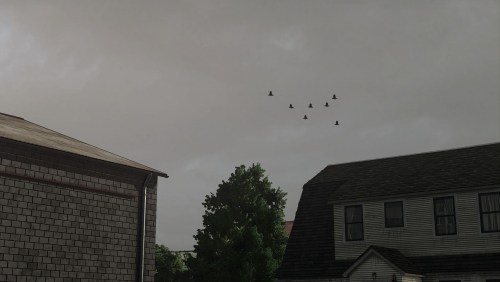 More information about "Real Sky"