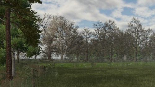 More information about "DecoFoliage Pack"