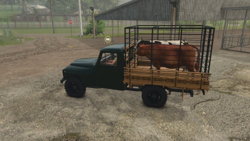 More information about "Lizard Rural F75"