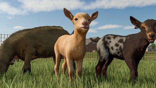 More information about "More Visual Animals"