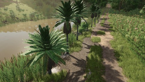 More information about "Coconut Trees"