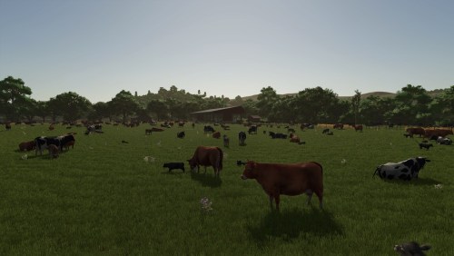 More information about "More Visual Animals"