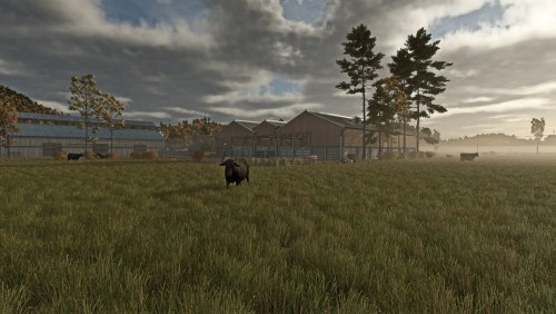 More information about "Customize Fence Cow Barn"