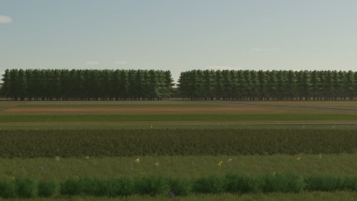 More information about "Golden Lands"