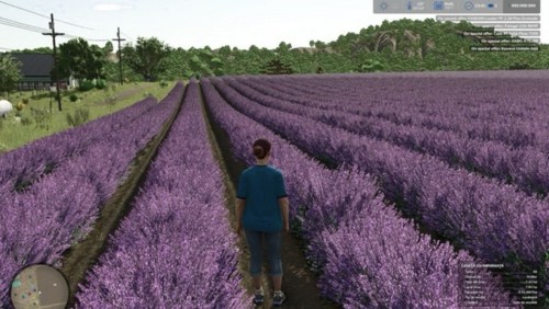 More information about "Judith Plains, Montana 4x Multifruit And Productions Edit"