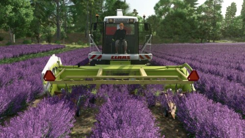 More information about "Ponzo Lavender Header"